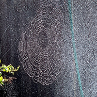 Thumbwater droplets web - Jayden age 14